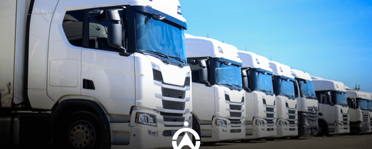 A row of white trucks parked neatly under a clear blue sky, showcasing their sleek designs.