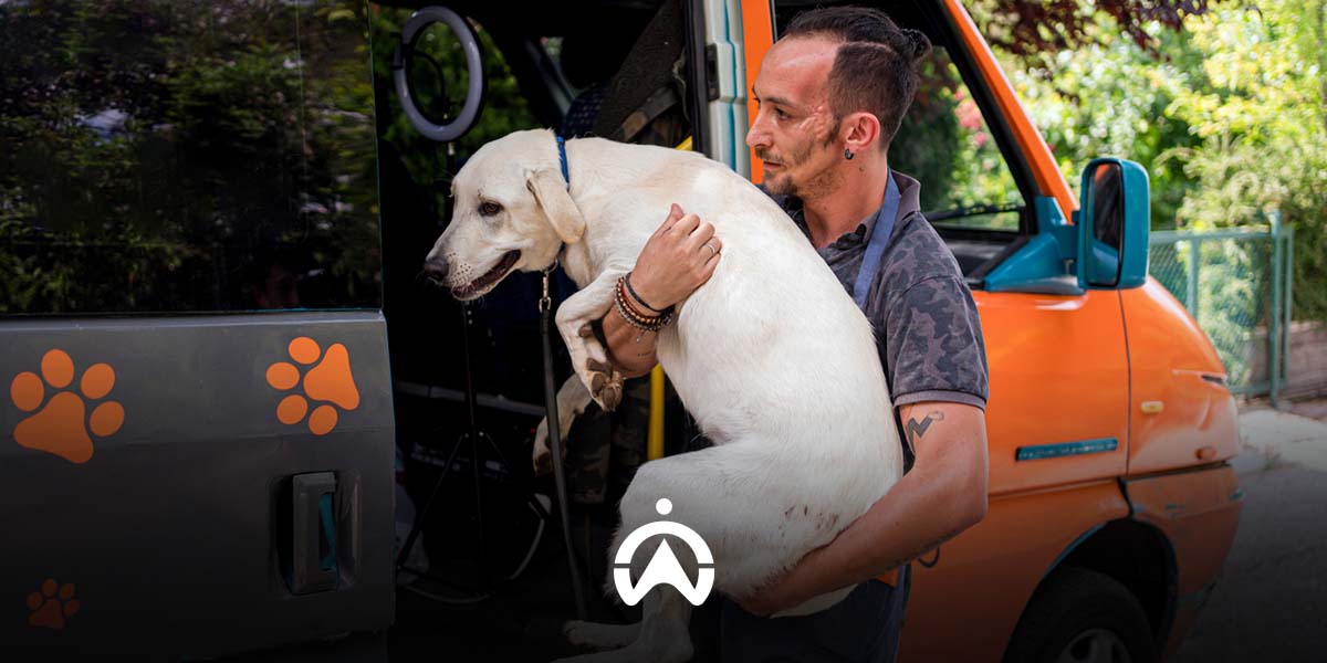 Field_Service_Management_Software_for_Mobile_Dog_Parlour_Companies